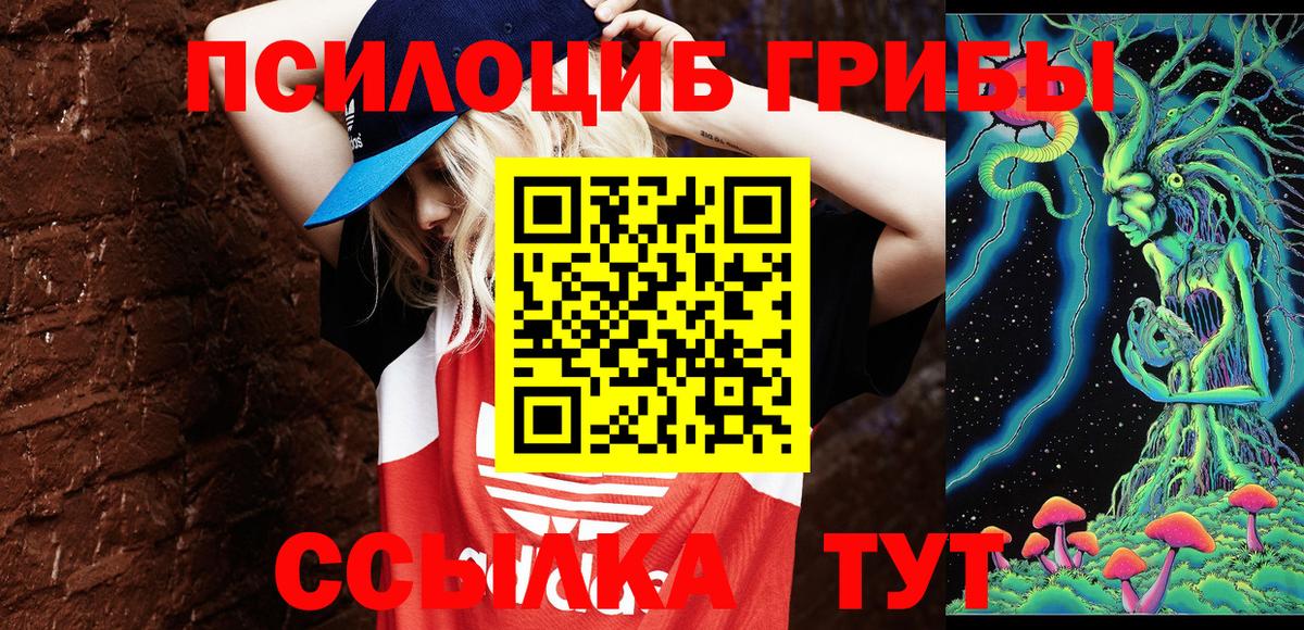 Псилоцибиновые грибы Psilocybe Большой Камень