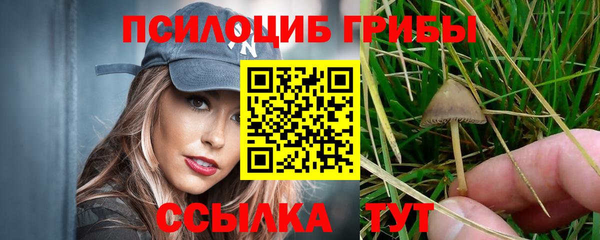 Большой Камень  Галлюциногенные грибы Magic Shrooms  Галлюциногенные грибы Psilocybine cubensis  Вход с VPN 